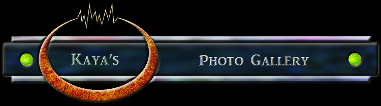 Photo Gallery - Before and After Pictures